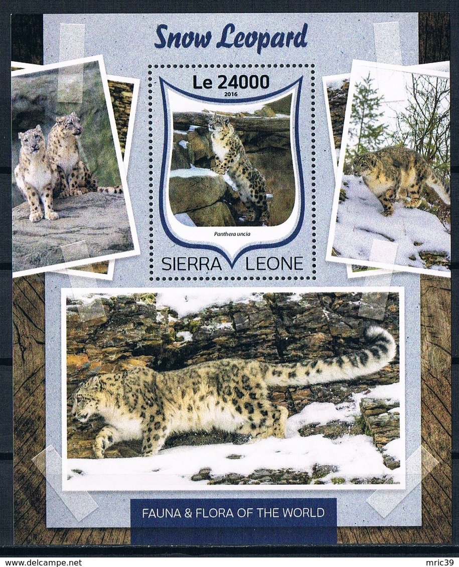 Bloc Sheet Animaux Felins Leopards Animals Wild Cats Neuf  MNH ** Sierra Leone 2016 - Félins