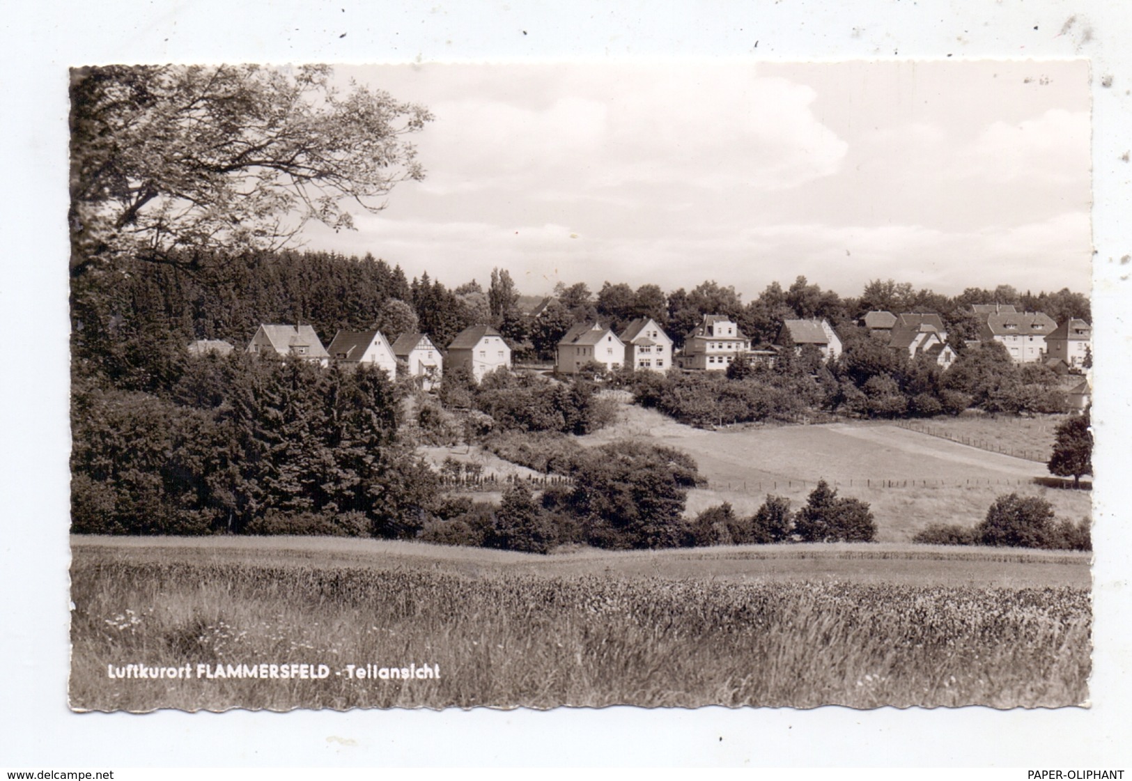 5232 FLAMMERSFELD, Teilansicht 1964 - Altenkirchen