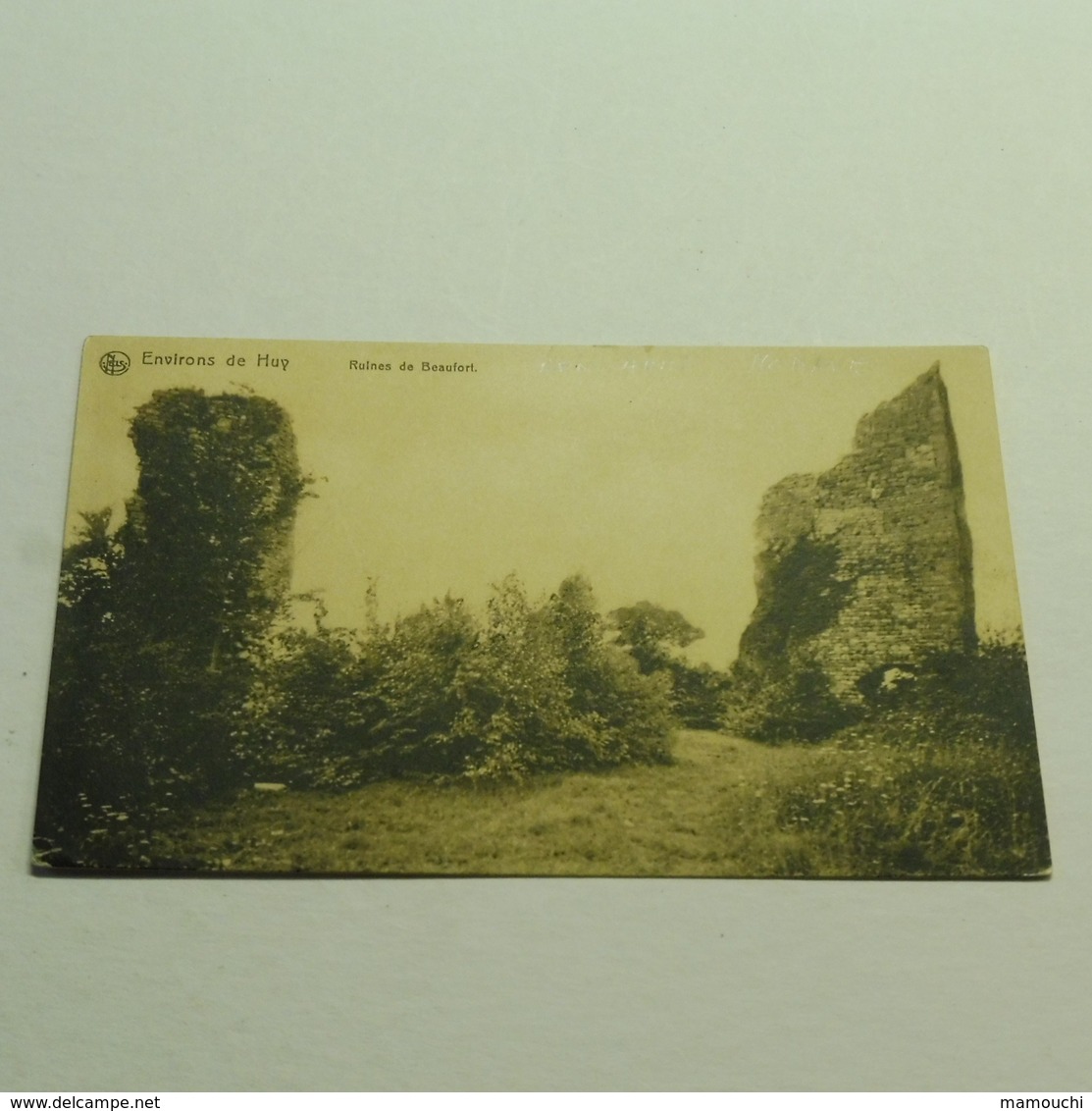 BEN - AHIN - Ruines De Beaufort - Modave