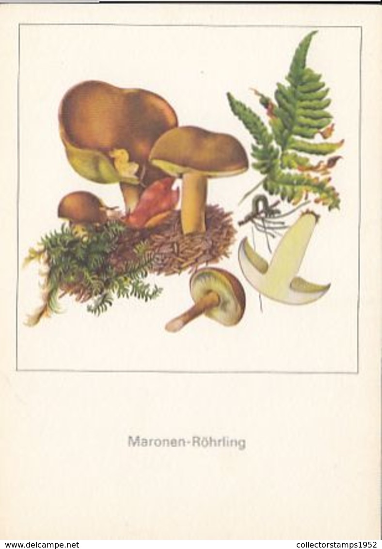 77132- MUSHROOMS, PLANTS - Mushrooms