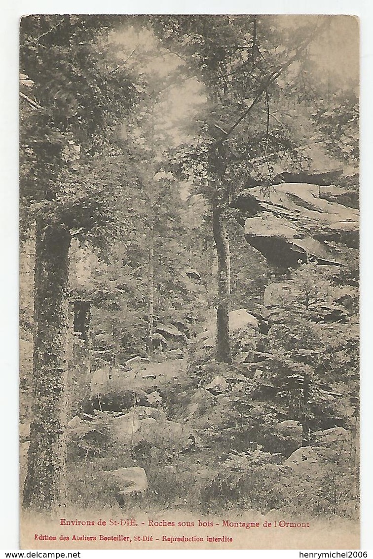 88 Vosges - St Saint Dié Roches Sous Bois Montagne De L'ormont Ed Bouteiller - Saint Die