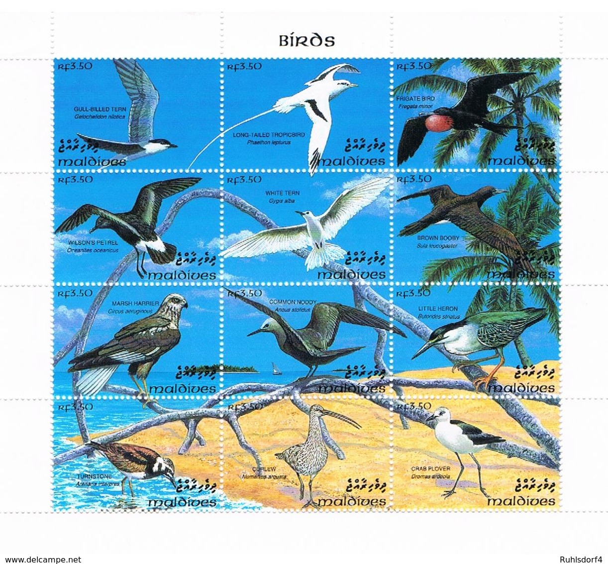 Malediven: "Vögel"; 2 Kleinbögen - Sonstige & Ohne Zuordnung