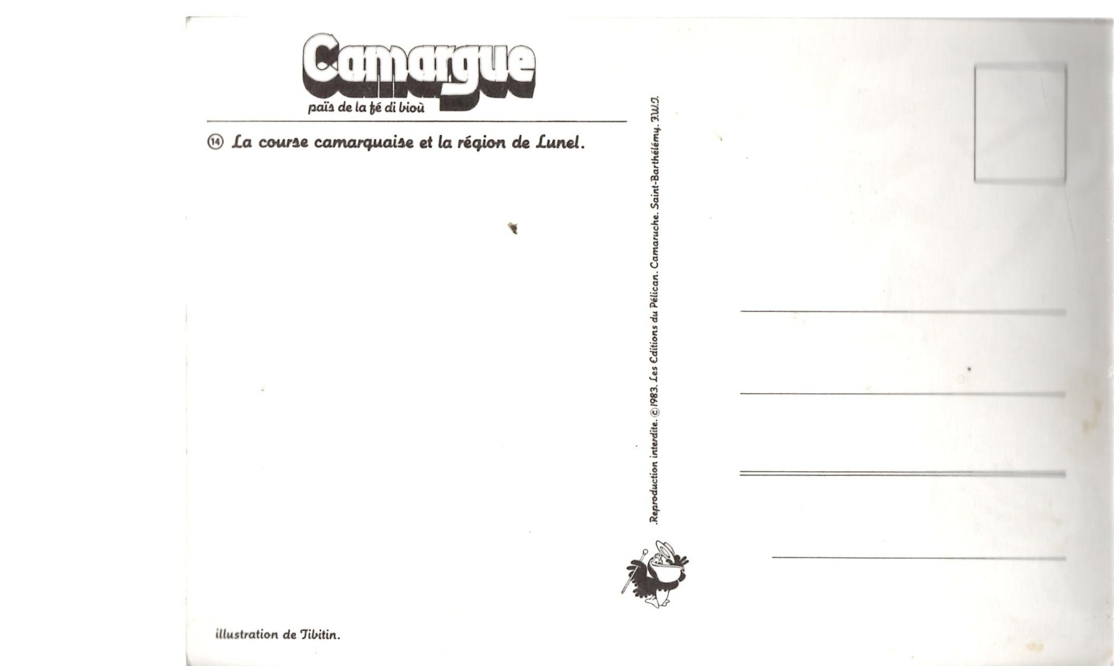 Course Camarguaise Région Lunel,Sommières,Castries,Mauguio,Marsillargues (Fanfonne Guillerme,Source Perrier,Pont Etc TBE - Languedoc-Roussillon