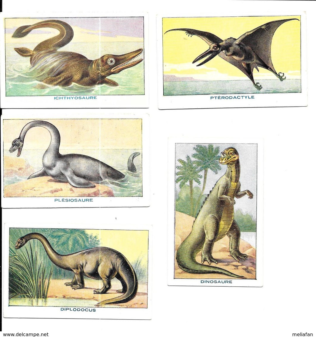 AP29 - IMAGES HEMEGLOBINE DESCHIENS - ANIMAUX PREHISTORIQUES - DINOSAURES - Altri & Non Classificati