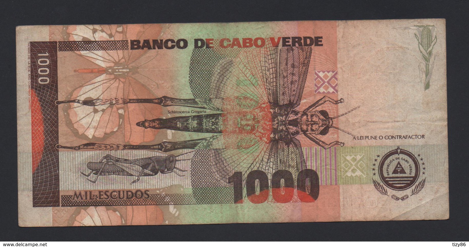 Banconota Capo Verde - 1000 Escudos - 1992 - Cap Verde