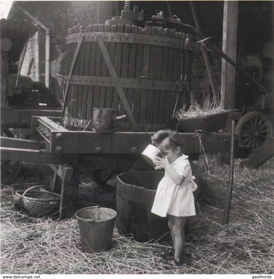 D1276 GRANDE CARTE DOUBLE - A LA FERME : LE JUS DE POMME DE SAINT SAUVANT - PHOTO DOISNEAU / RAPHO - Cultures