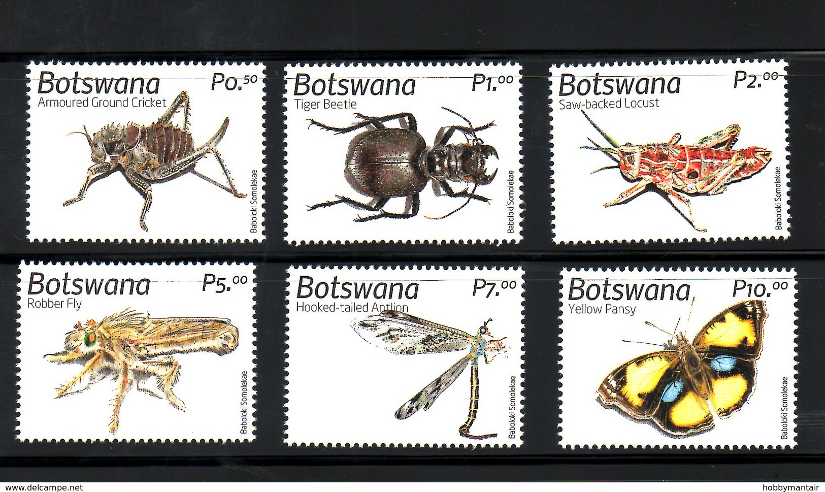 BOTSWANA, 2019 , INSECTS, 6v.  MNH**, NEW!! - Autres & Non Classés
