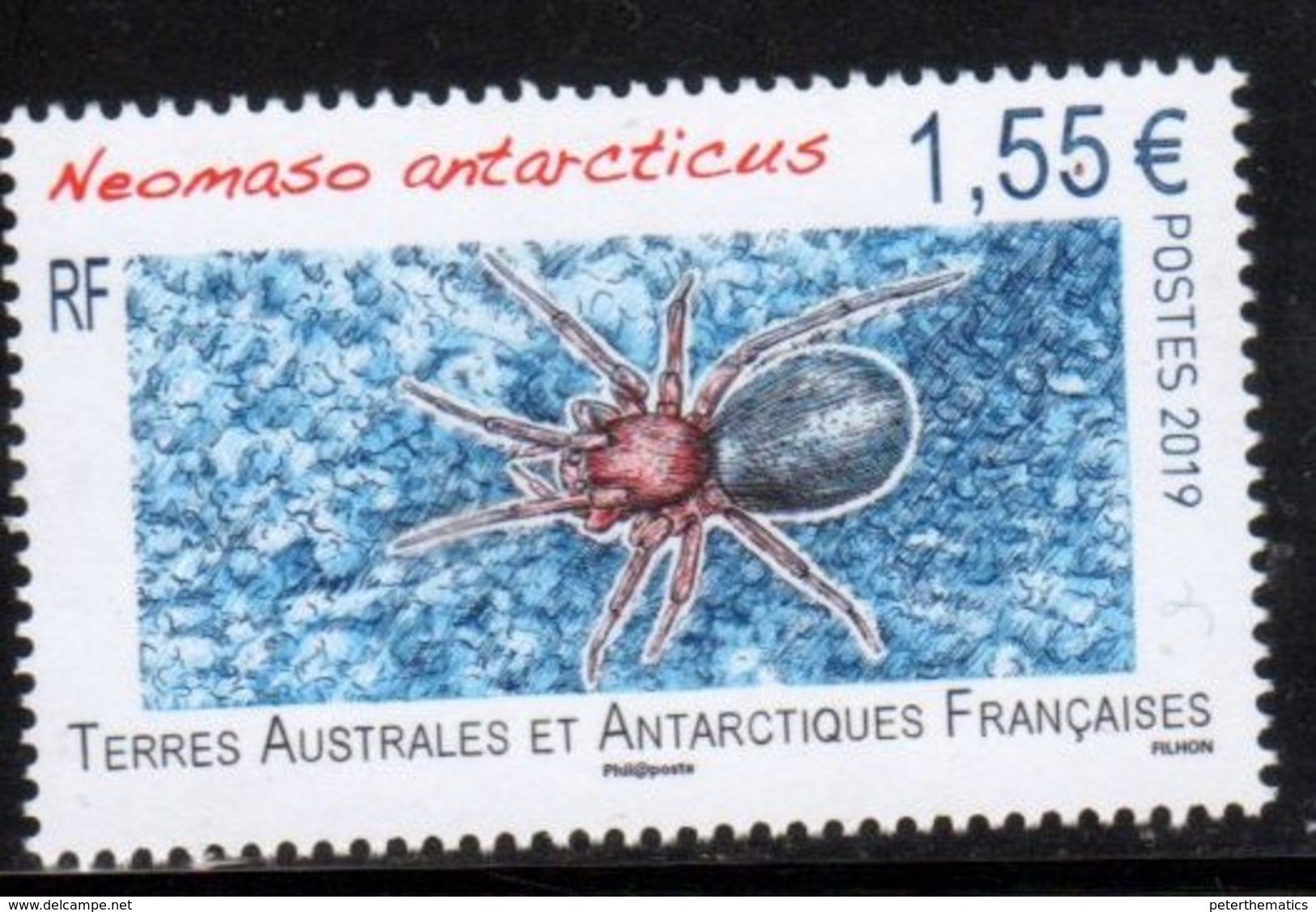 TAAF ,  FRENCH ANTARCTIC, 2019, MNH,SPIDERS, 1v - Spiders