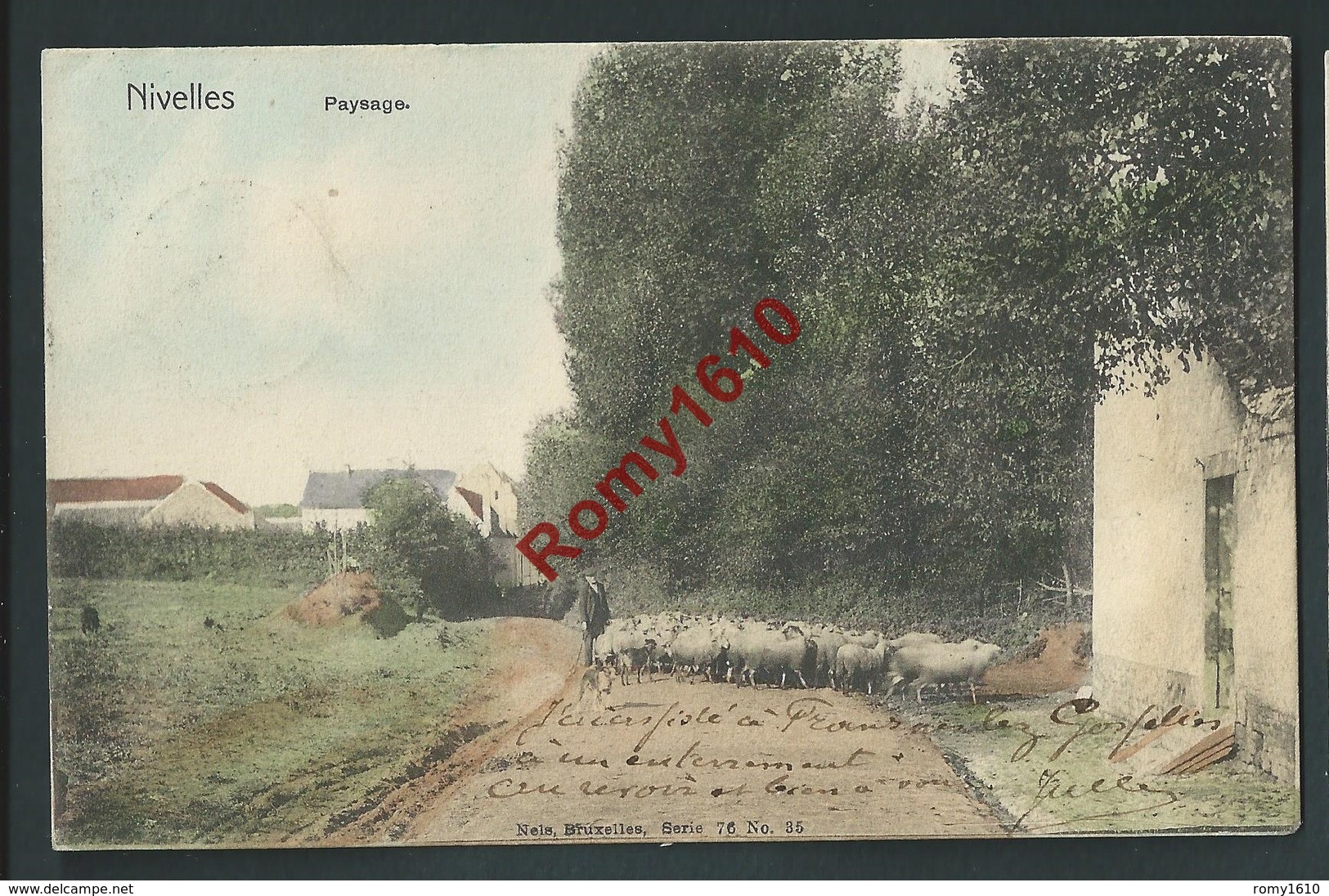 Nivelles. 1905. Paysan, Moutons. Paysage En Couleurs. Nels Série 76, N°35.  Scan Recto/verso - Nivelles