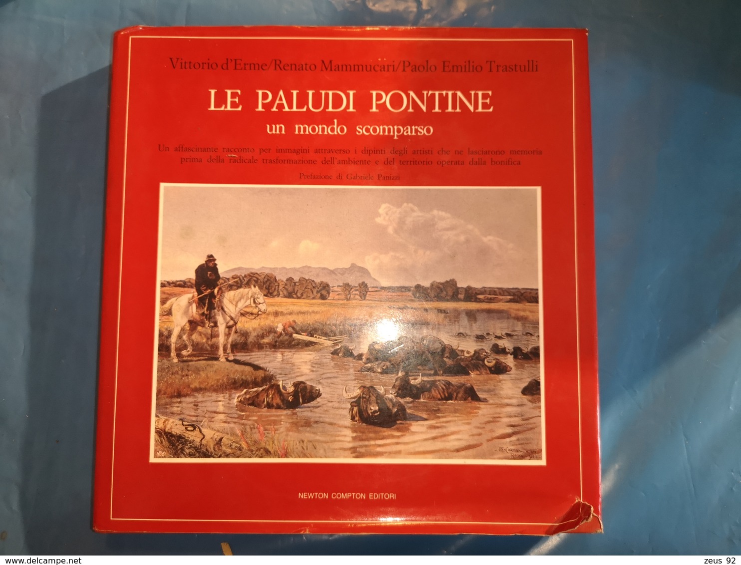 LIBRO LE PALUDI PONTINE LAZIO UN MONDO SCOMPARSO NEWTON COMPTON EDITORI OTTIME CONDIZIONI - Altri & Non Classificati