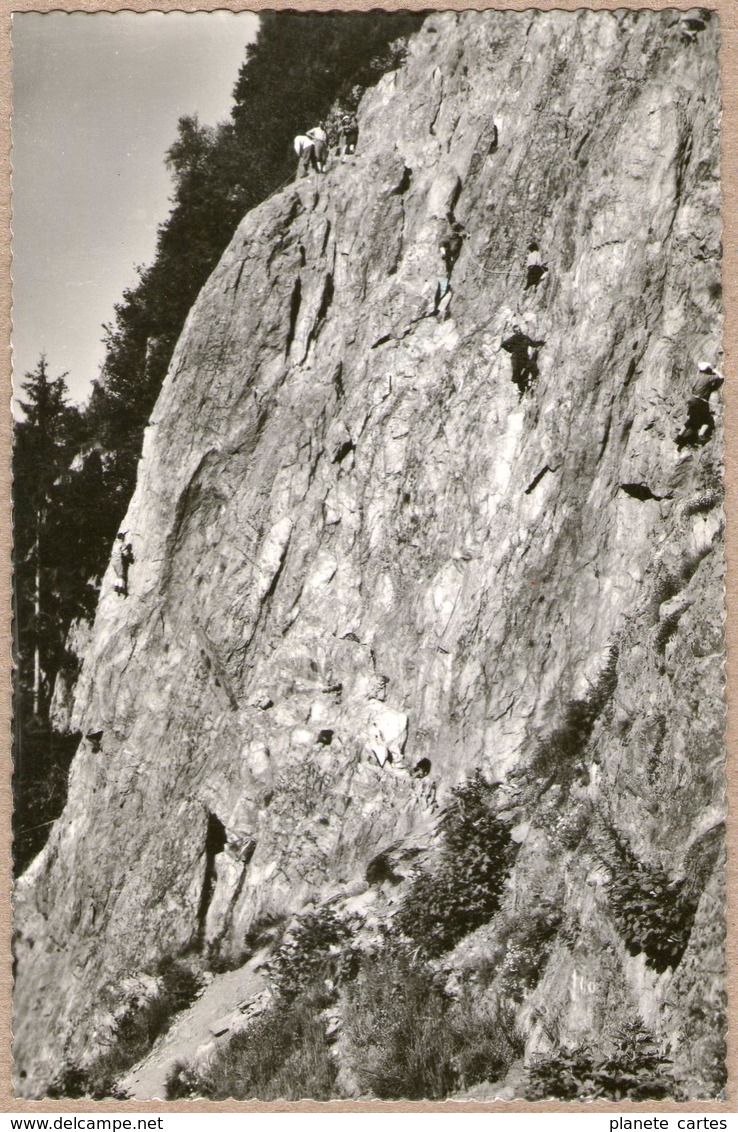 74 / CHAMONIX - Ecole D'escalade Des Gaillands (années 50) - Chamonix-Mont-Blanc