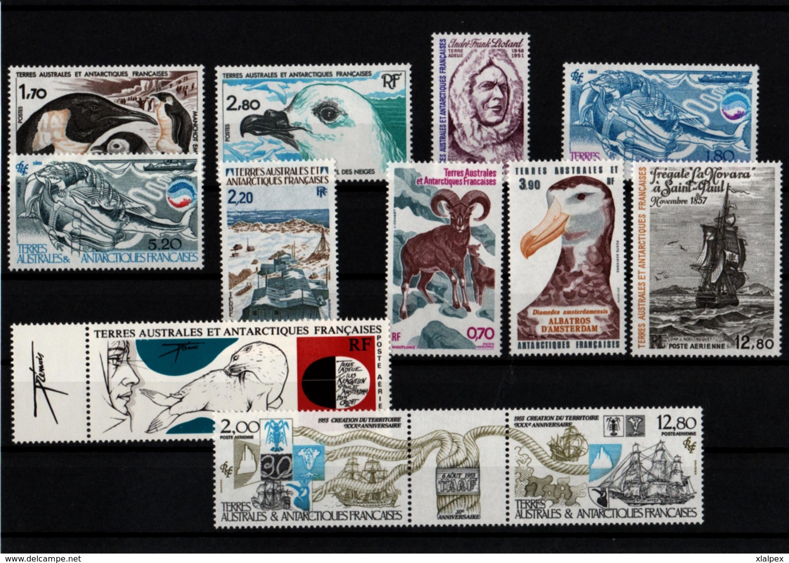 TAAF Année Complète 1985 Postes Et PA Timbres Neufs ** - Full Years
