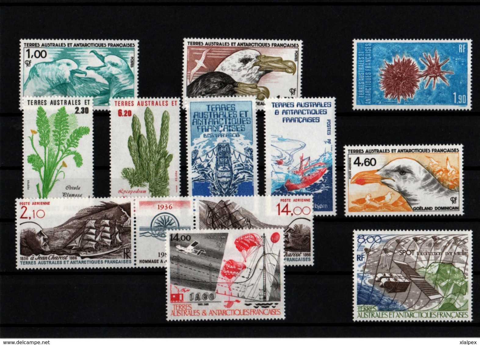 TAAF Année Complète 1986 Postes Et PA Timbres Neufs ** - Volledig Jaar