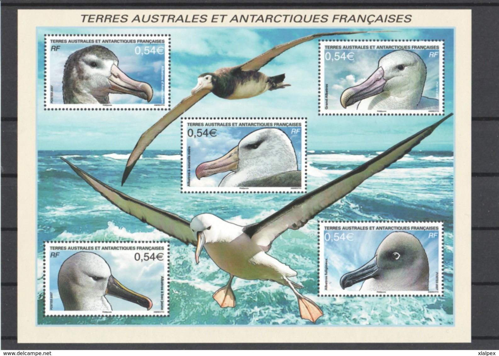 TAAF Année Complète 2007 Timbres Neufs ** - Full Years
