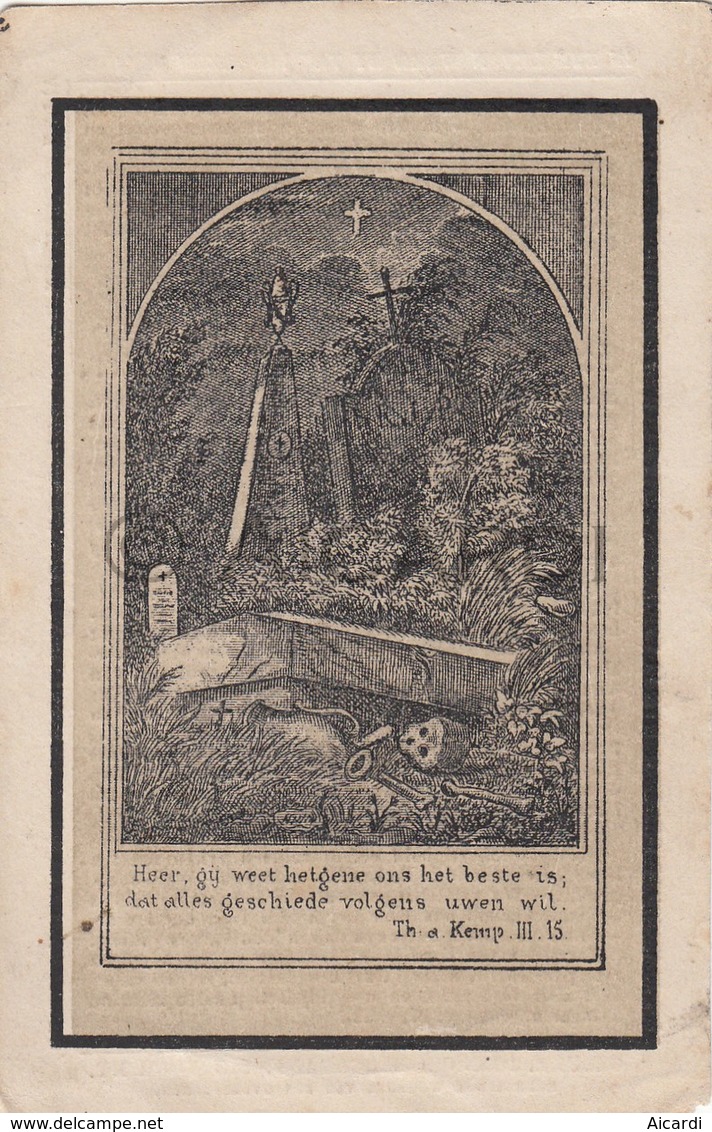 Doodsprentje Guilielmus Eugenius De Ruyter °1836 St-Joris-Winge †1866 / Student Rechten/Landbouwkrediet/Landmeter (B149) - Décès