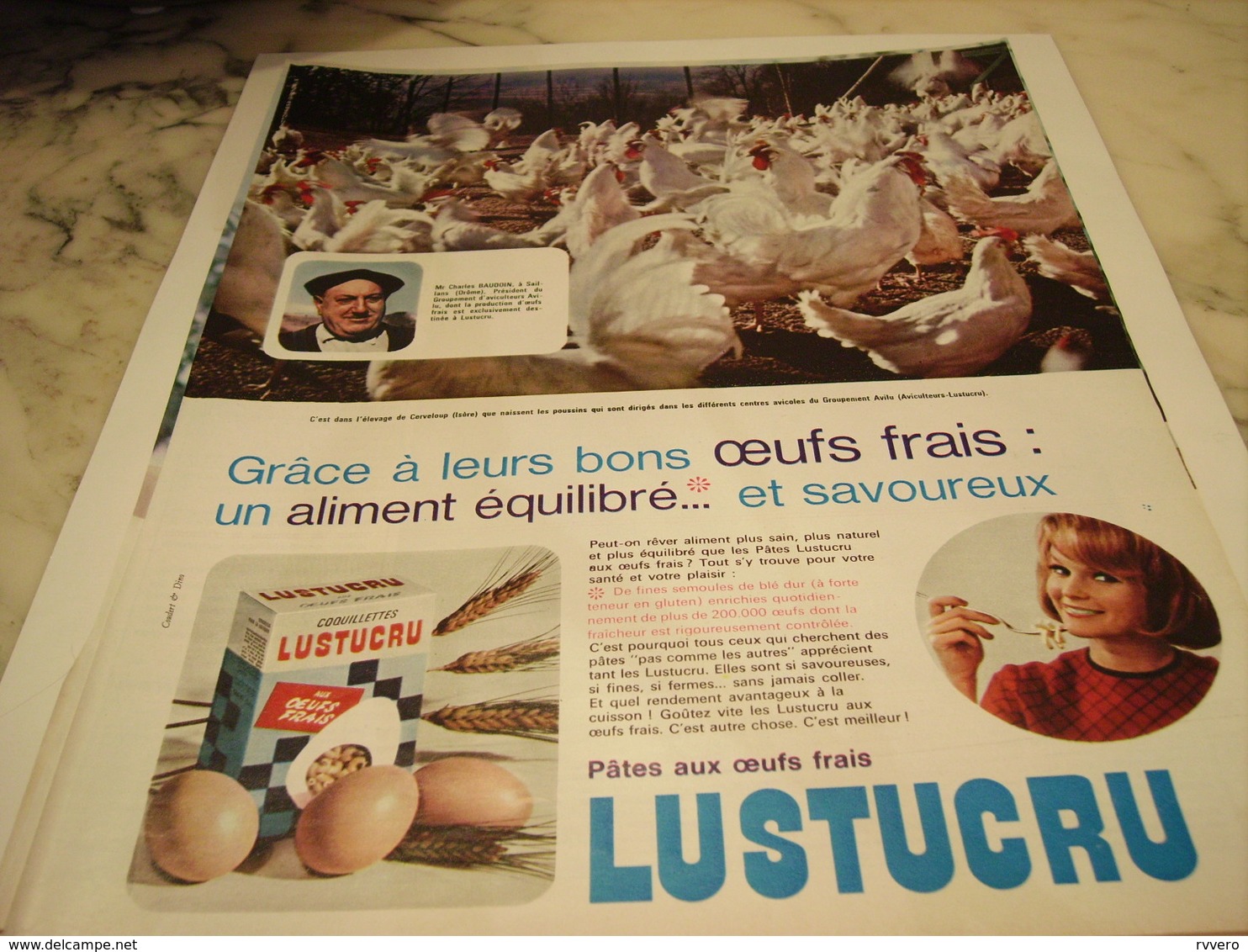 ANCIENNE PUBLICITE PATE ALIMENTAIRE OEUF FRAIS LUSTUCRU 1965 - Affiches