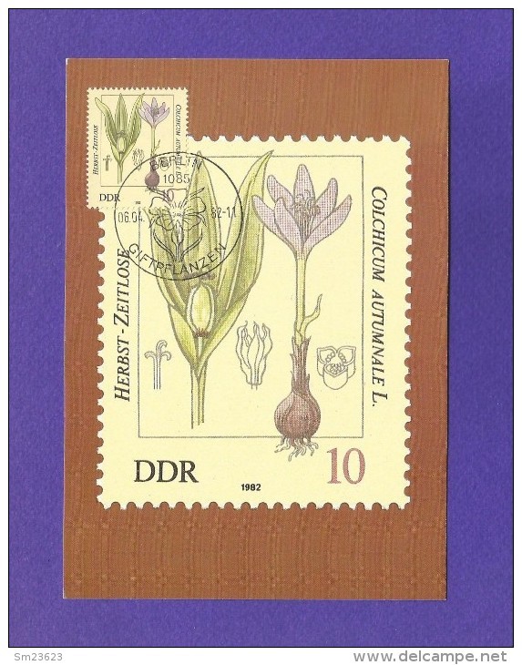 DDR 1982  Mi.Nr. 2691 , Herbst-Zeitlose - Giftpflanzen - Maximumkarte - 06.04.1982 - Giftige Planten