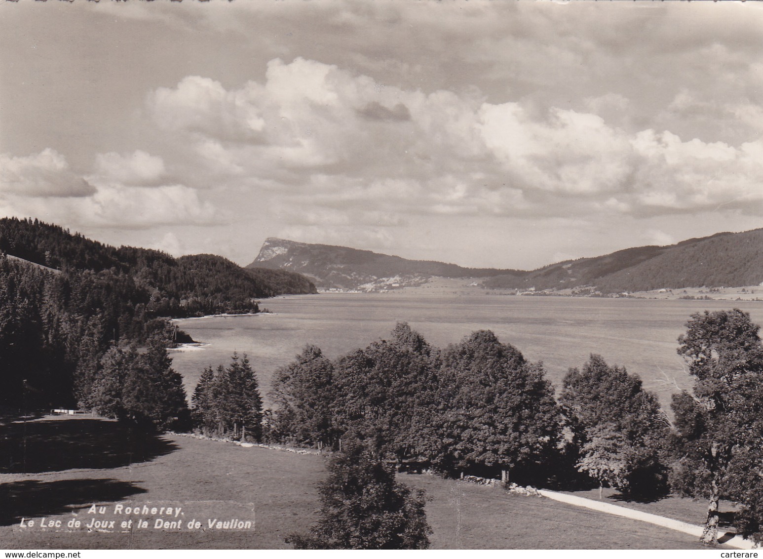 SUISSE,HELVETIA,SWISS,switzerland,schweiz,SVIZZERA ,VAUD,LAC,LAC DE JOUX,ROCHERAY,CARTE PHOTO DERIAZ - Roche