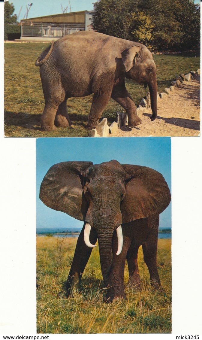 Lot De 2 Cartes - Eléphants - Elefantes