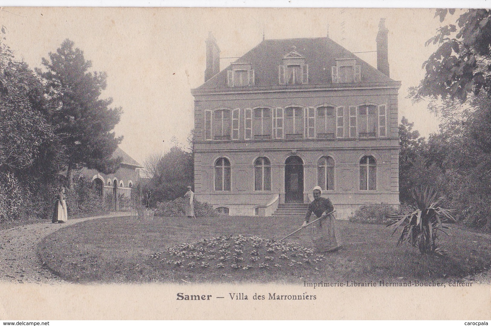 Carte 1910 SAMER / VILLA DES MARRONNIERS (jardinier) - Samer