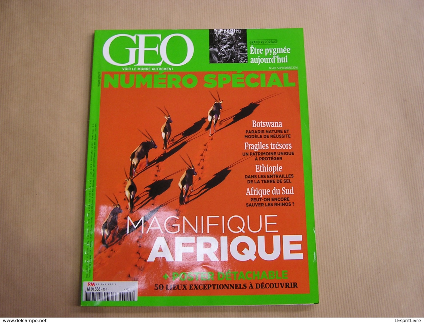 GEO Magazine N° 451 Géographie Voyage Monde Spécial Afrique Du Sud Botwana Ethiopie Pygmée Patrimoine Rhinoscéros Nature - Tourisme & Régions