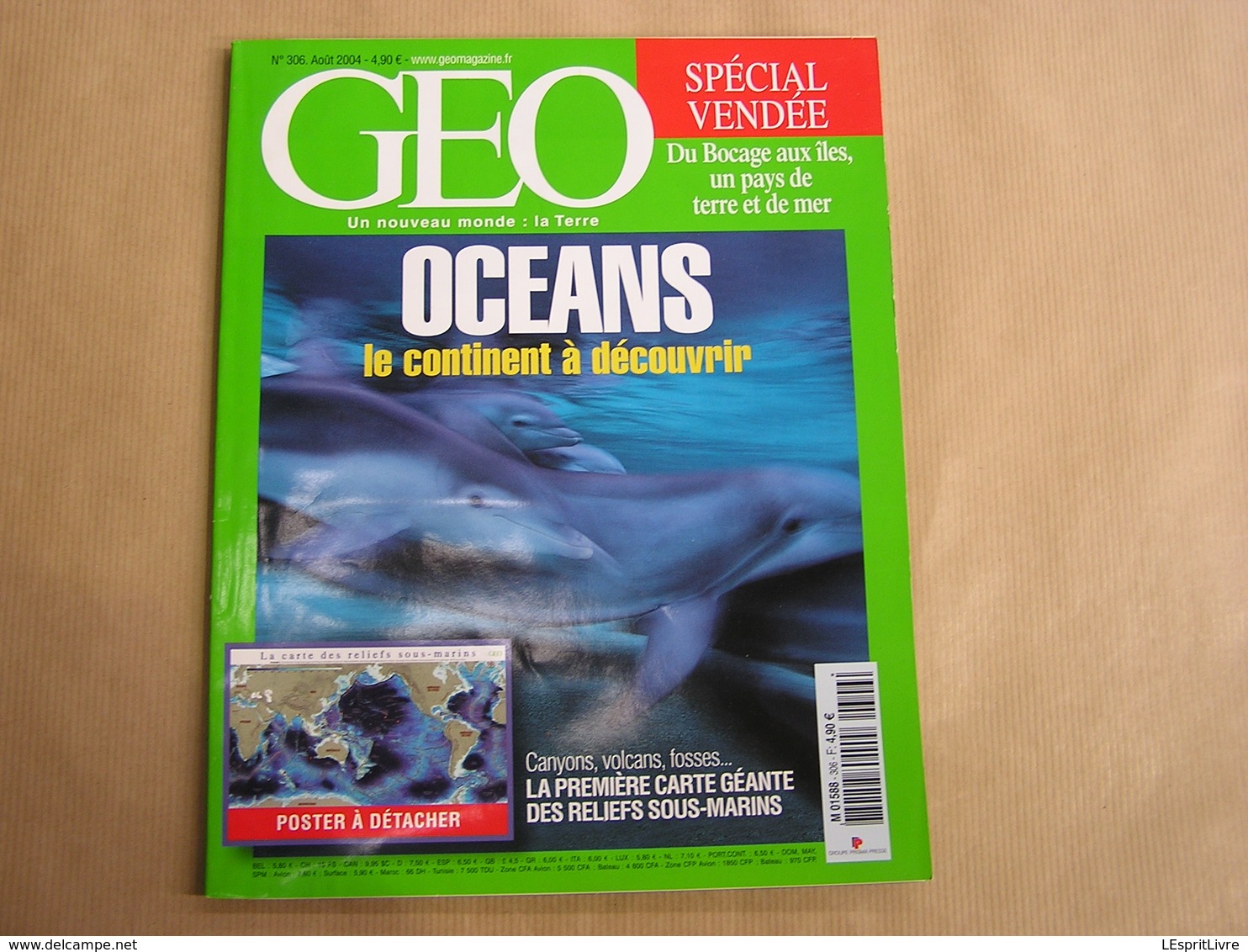 GEO Magazine N° 306 Géographie Voyage Monde Océans Continent Vendé France Bocage Iles Mer Inde Petite Russie Alaska - Tourisme & Régions