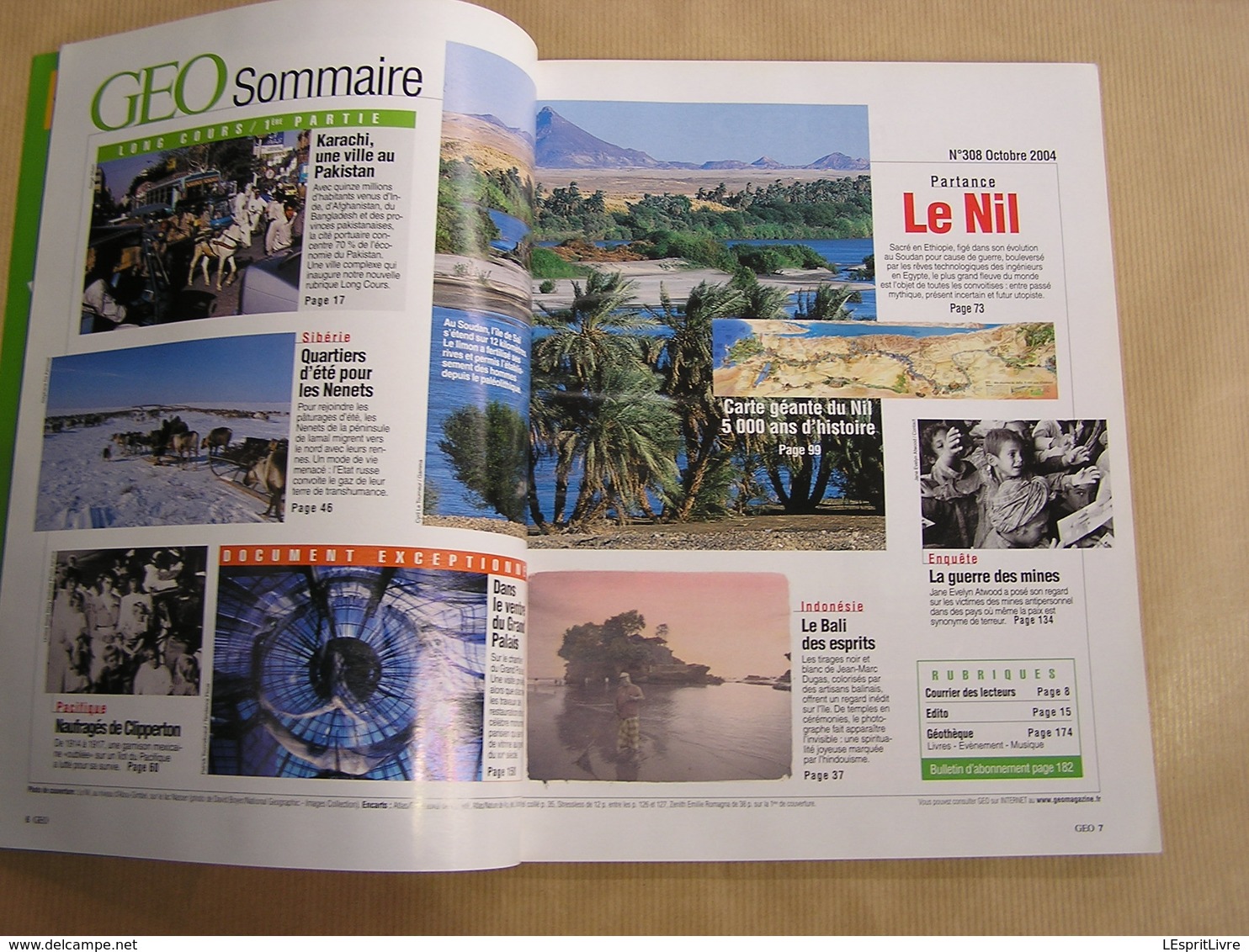 GEO Magazine N° 308 Géographie Voyage Monde Egypte Soudan Ethiopie Le Nil Paris Bali Inde Clipperton Sibérie Pakistan - Tourisme & Régions