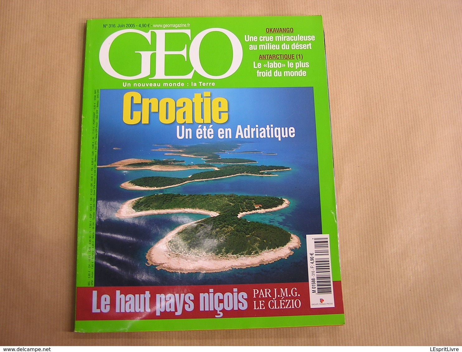 GEO Magazine N° 316 Géographie Voyage Monde Croatie Adriatique Antarctique Désert Okavango Nice Syrie Botswana USA - Tourisme & Régions