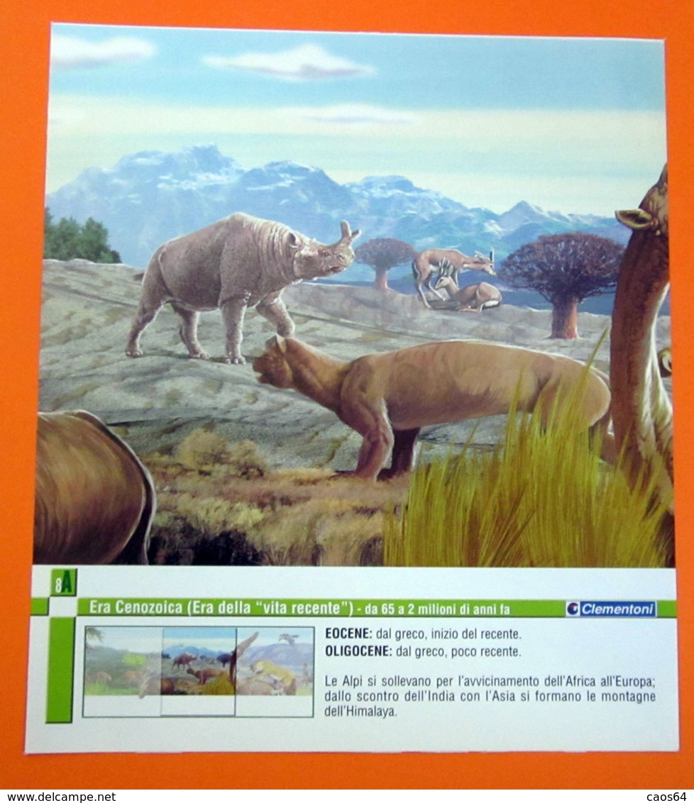 SCHEDA CLEMENTONI ERA CENOZOICA WAS CENOZOIC - Historia