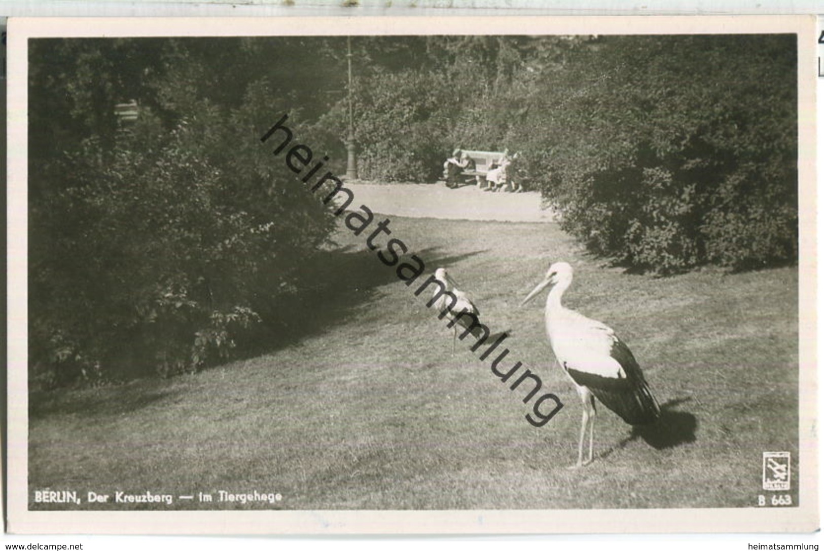 Berlin-Kreuzberg - Der Kreuzberg - Im Tiergehege - Storch - Verlag Klinke & Co. Berlin Foto-Ansichtskarte 50er Jahre - Kreuzberg