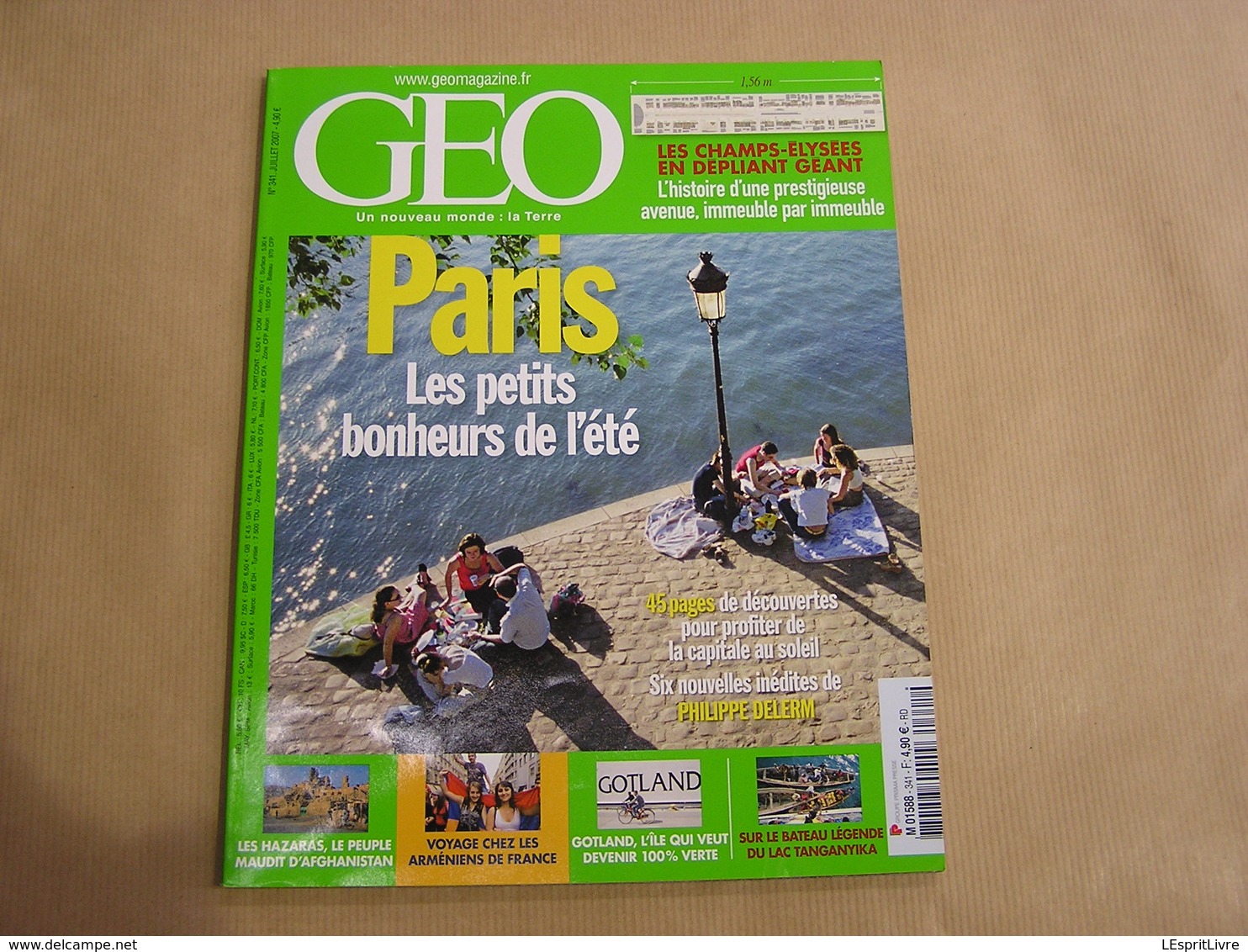 GEO Magazine N° 341 Géographie Voyage Monde Paris Champs Elysées Hazaras Afghanistan Gotland Arméniens Lac Tanganyika - Tourisme & Régions