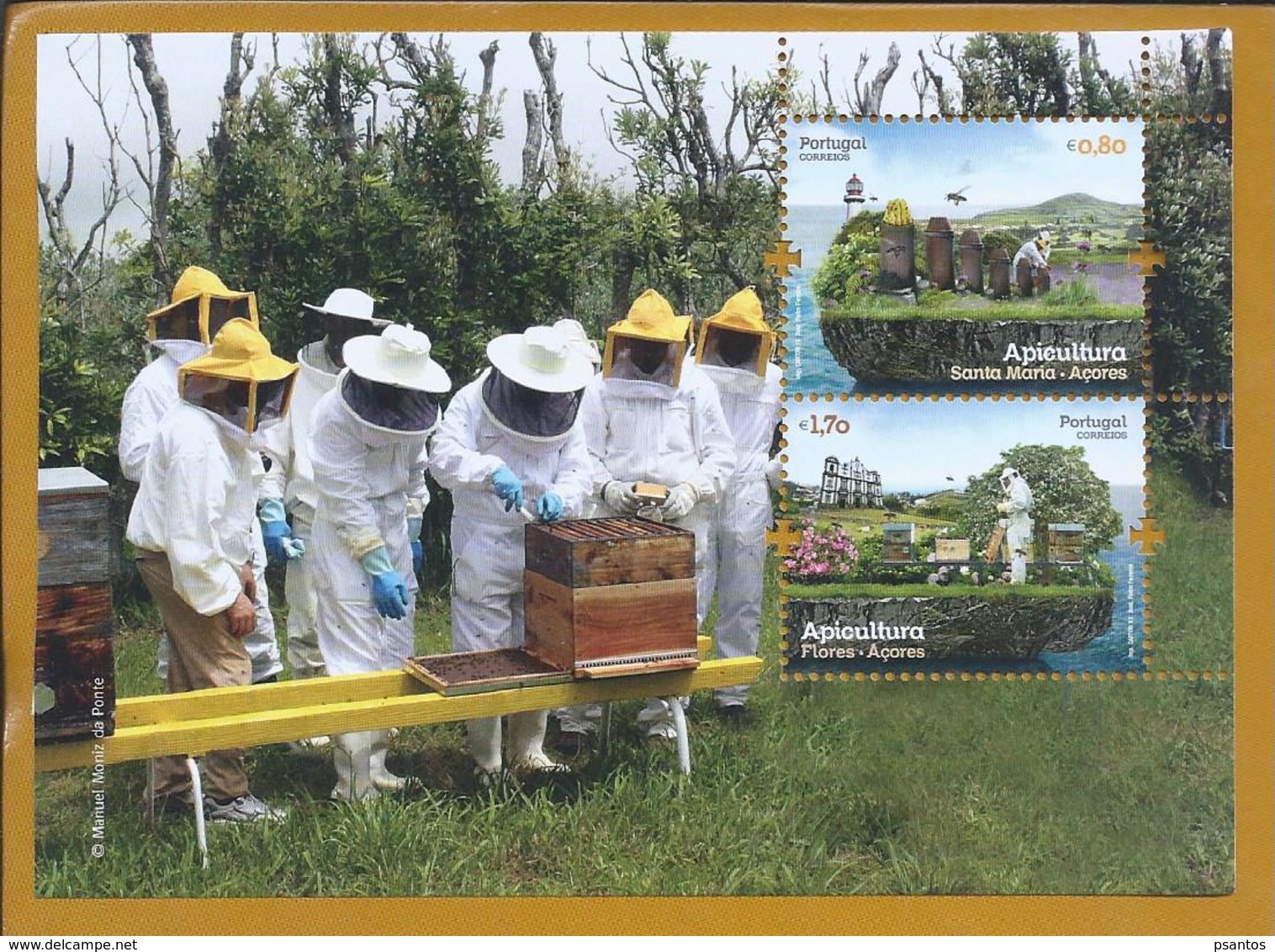 Bees. Beekeeping Of The Azores. Honey Beehives. Beekeeping Block. Bienen Imkerei Der Azoren. Honig Bienenstöcke. Bijen. - Abeilles