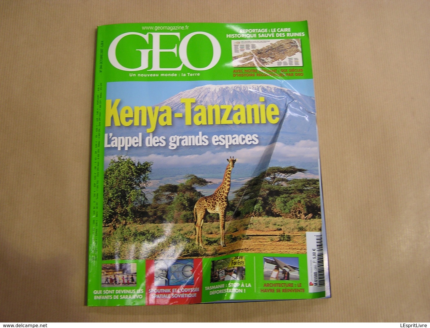 GEO Magazine N° 344 Géographie Voyage Monde Kenya Tanzanie Afrique Spoutnik Sarajevo Tasmanie Le Havre Architecture - Tourisme & Régions