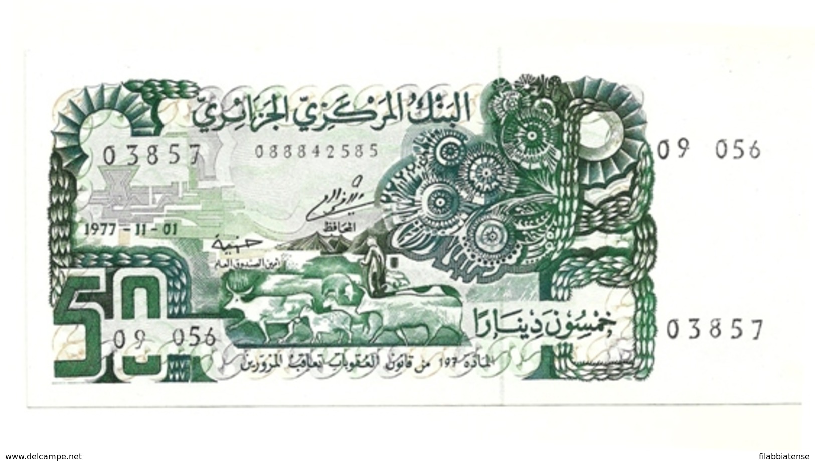 Algeria - 50 Dinars 1977 - Algeria