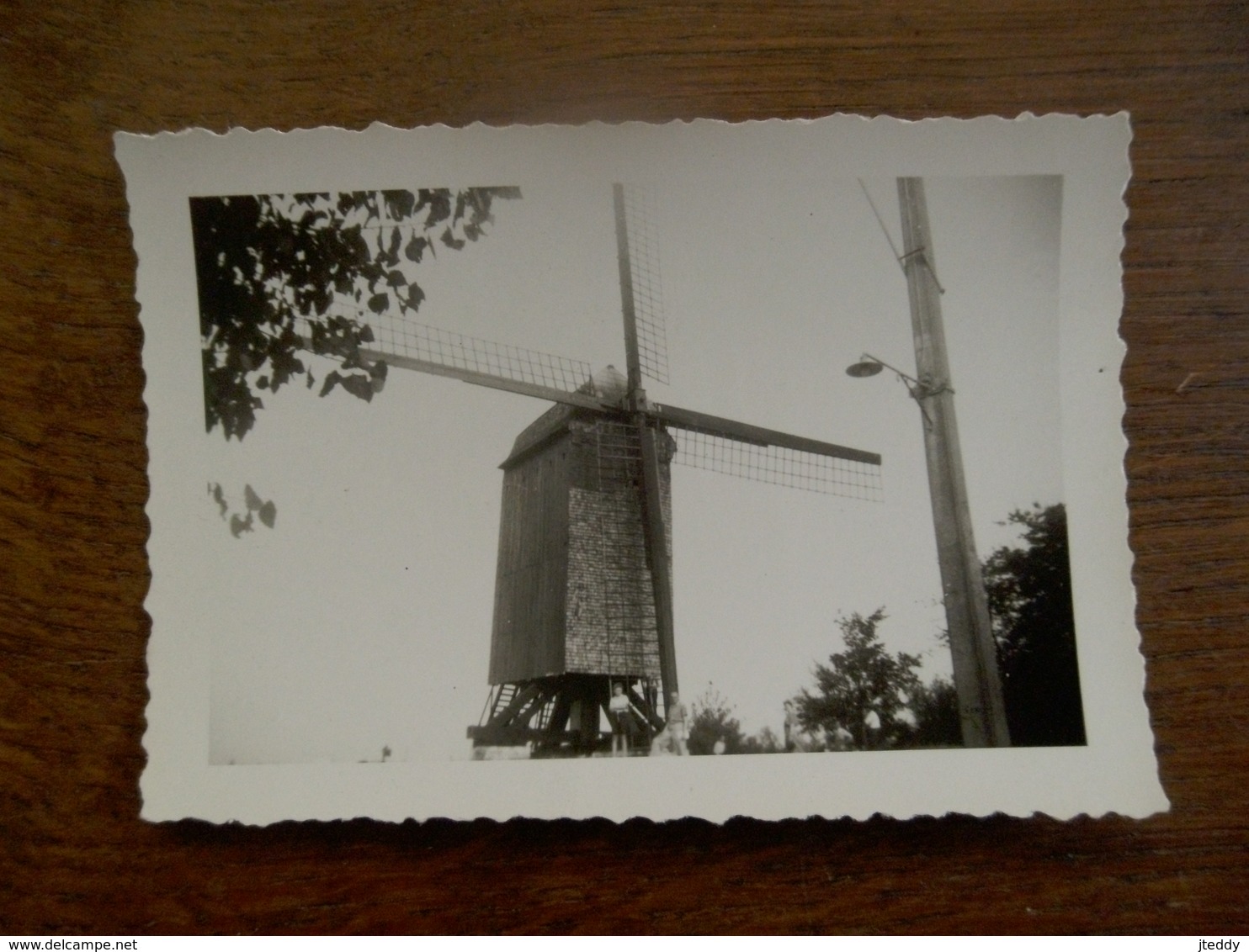 Oude Foto Van Windmolen Rond 1950  Ergens In West - Vlaanderen - Lieux