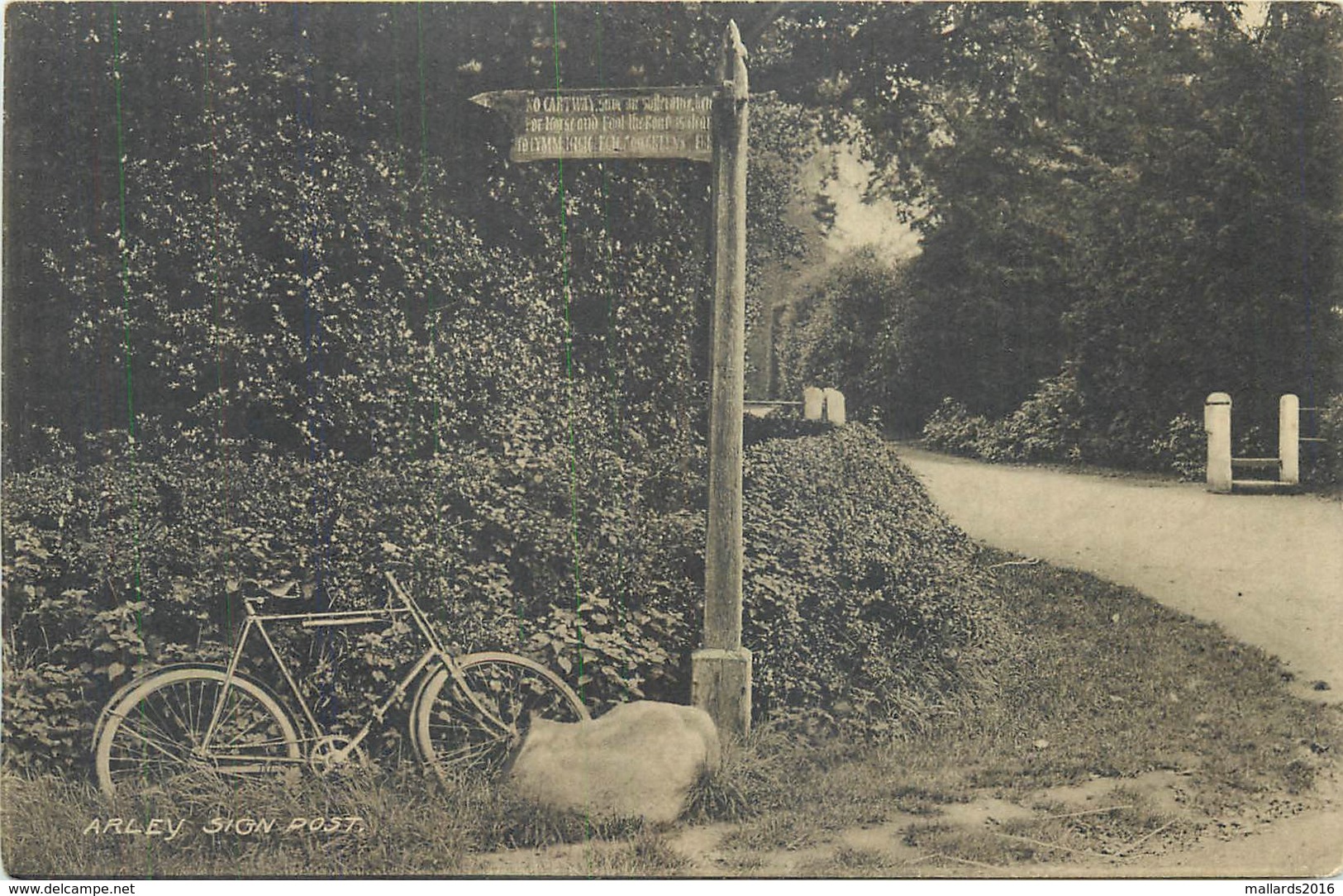 ARLEY SIGN POST, CHESHIRE ~ AN OLD POSTCARD #85915 - Other & Unclassified