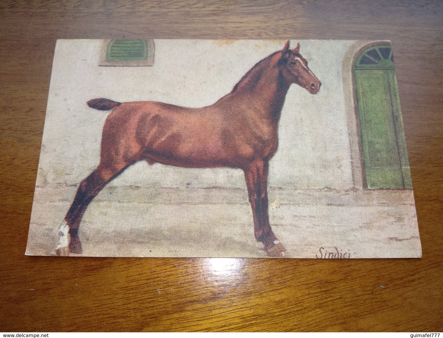 Postcard, Postal " Cavalo, Horse " - Caballos