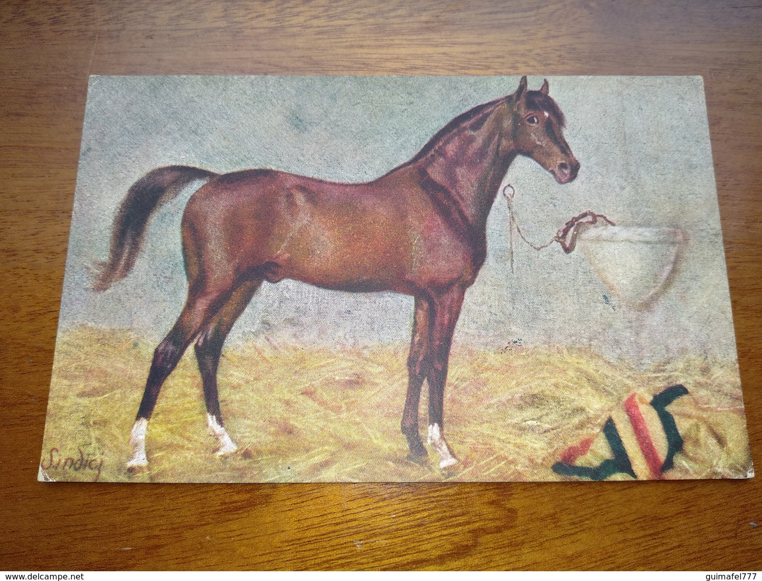 Postcard, Postal " Cavalo, Horse " - Chevaux