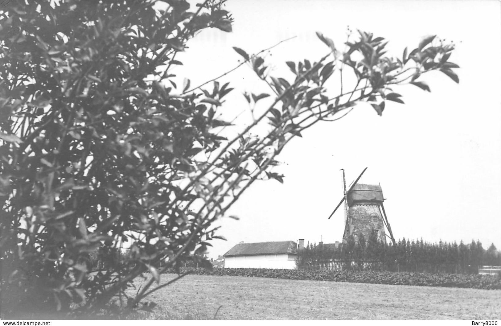 Foto , Geen Postkaart! Foto Van De Windmolen Molen Van Wervik Windmill Moulin De Vent  X 5923 - Wervik