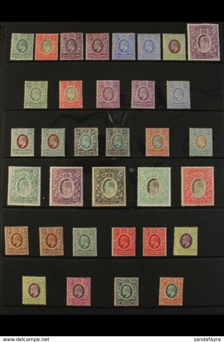 EAST AFRICA & UGANDA PROTECTORATES 1903-1921 MINT COLLECTION Presented On Stock Pages. Includes 1903-04 CA Wmk Range To  - Afrique Orientale Britannique