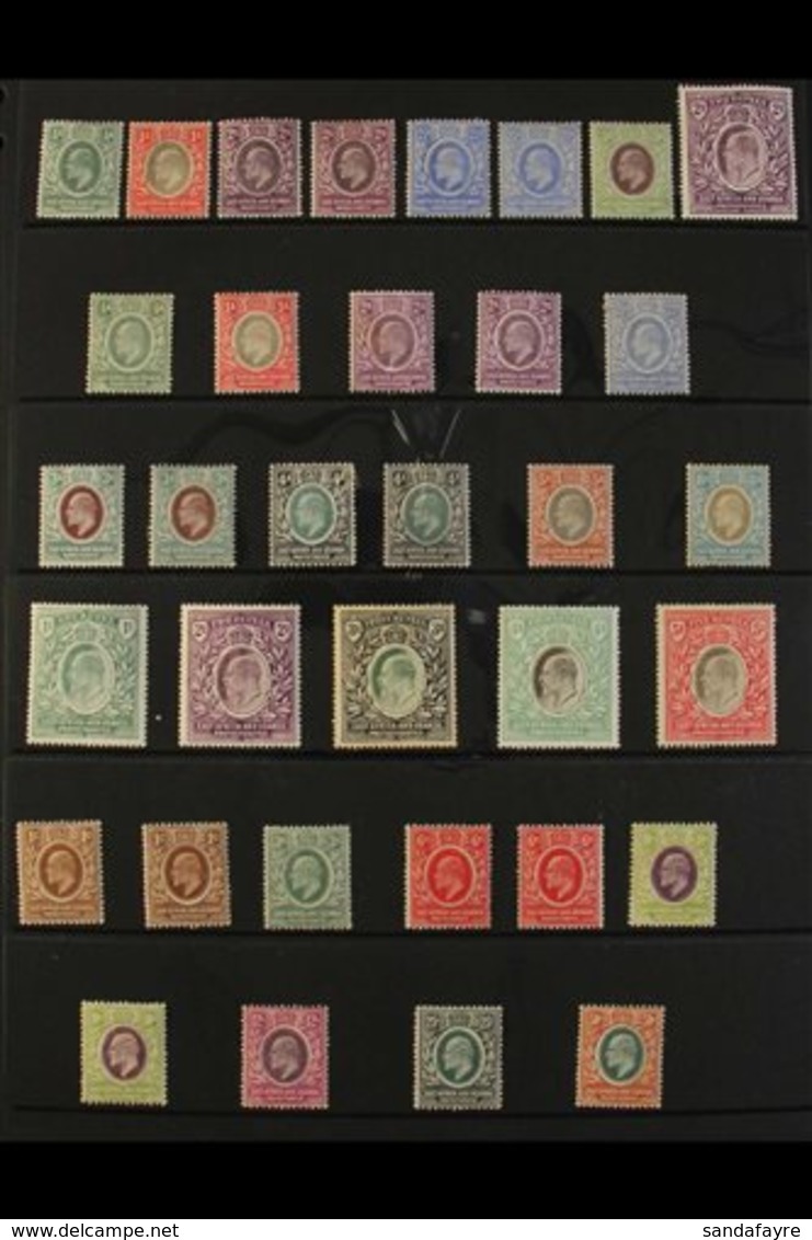 EAST AFRICA & UGANDA PROTECTORATES 1903-1921 MINT COLLECTION Presented On Stock Pages. Includes 1903-04 CA Wmk Range To  - Brits Oost-Afrika