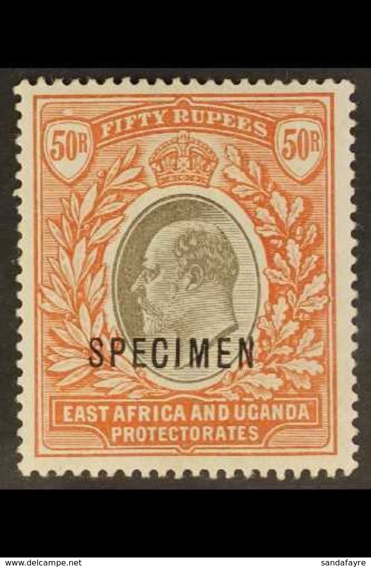 1903 50r Grey And Red Brown, Wmk CA, Ed VII, Ovptd "Specimen", SG 16s, Very Fine Mint. For More Images, Please Visit Htt - Vide