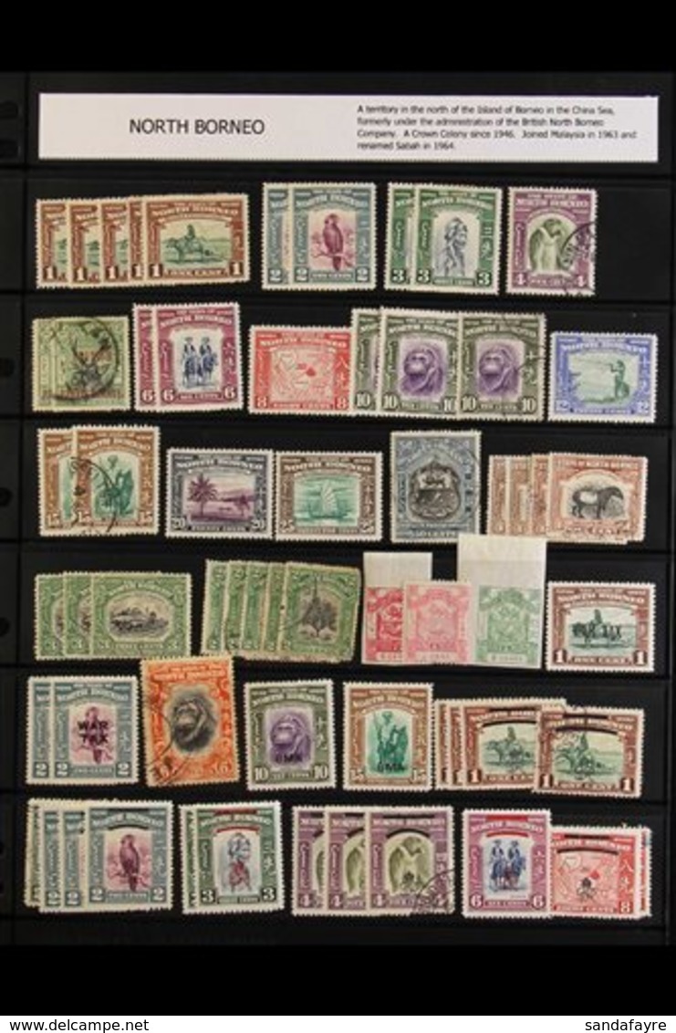 1886-1971 MINT & USED COLLECTION / ACCUMULATION Neatly Arranged On Stock Pages And Slightly Duplicated Here & There, We  - Noord Borneo (...-1963)