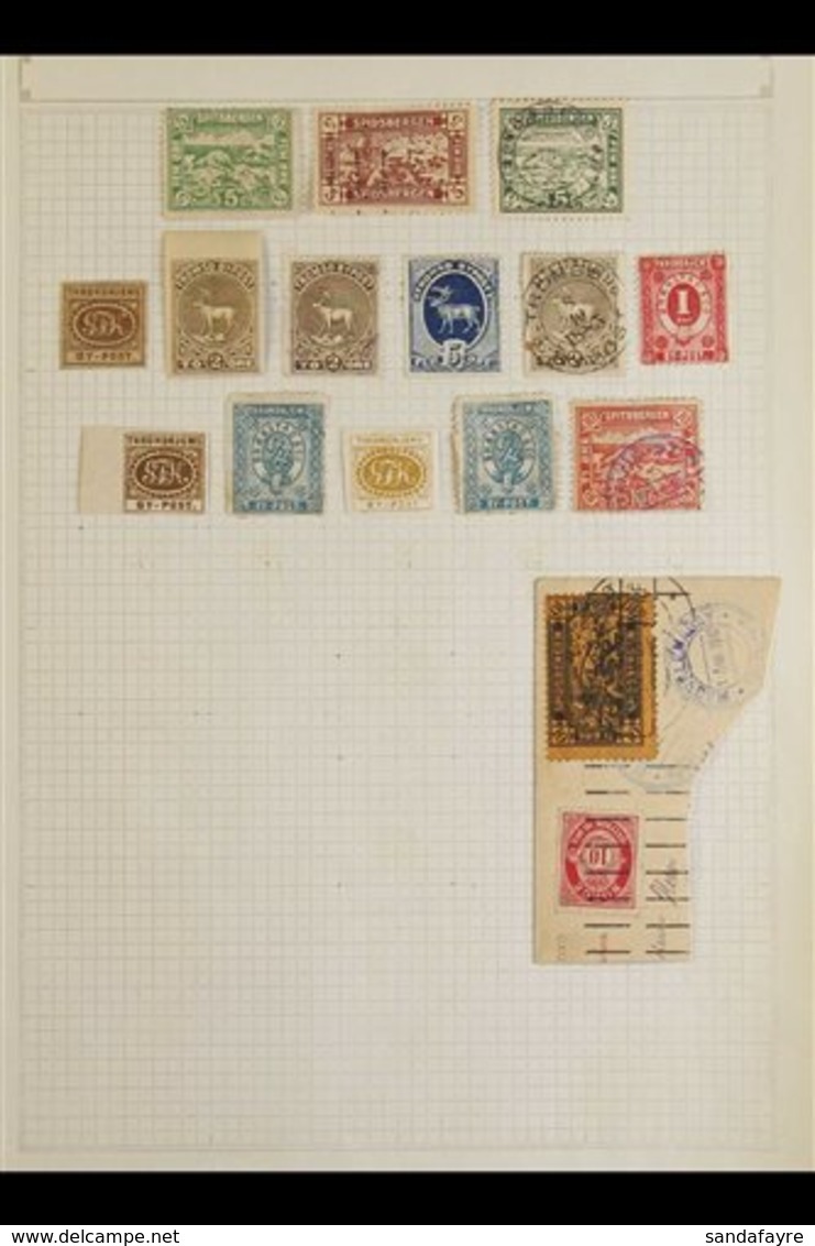 LOCAL POST STAMPS Original And Unpicked Mint And Used Collection On Album Pages. Includes Aalesund, Arendal, Christiansu - Sonstige & Ohne Zuordnung