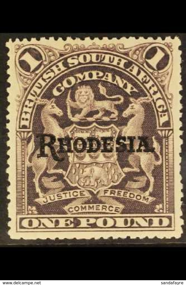 1909-12 £1 Grey Purple Arms "Rhodesia" Overprinted, SG 113, Mint With A Few Blunt Perfs. For More Images, Please Visit H - Autres & Non Classés