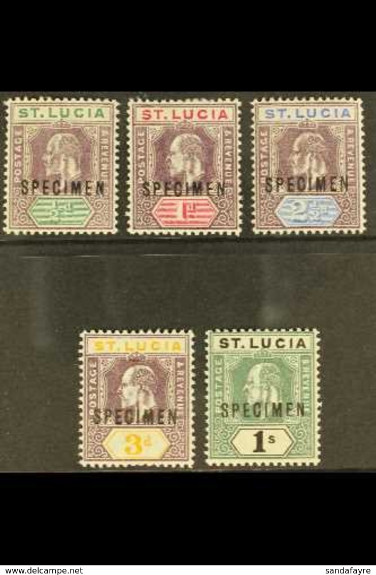 1902 Ed VII Set, Wmk CA, Ovptd "Specimen", SG 58s/62s, Very Fine Mint. (5 Stamps) For More Images, Please Visit Http://w - Ste Lucie (...-1978)