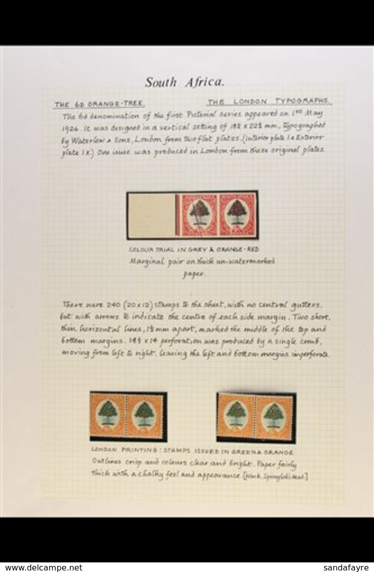 1926-51 SIXPENCE ORANGE TREE ISSUES STUDY COLLECTION - Very Well Written Up On Pages, With 1926-7 Imperforate COLOUR TRI - Unclassified