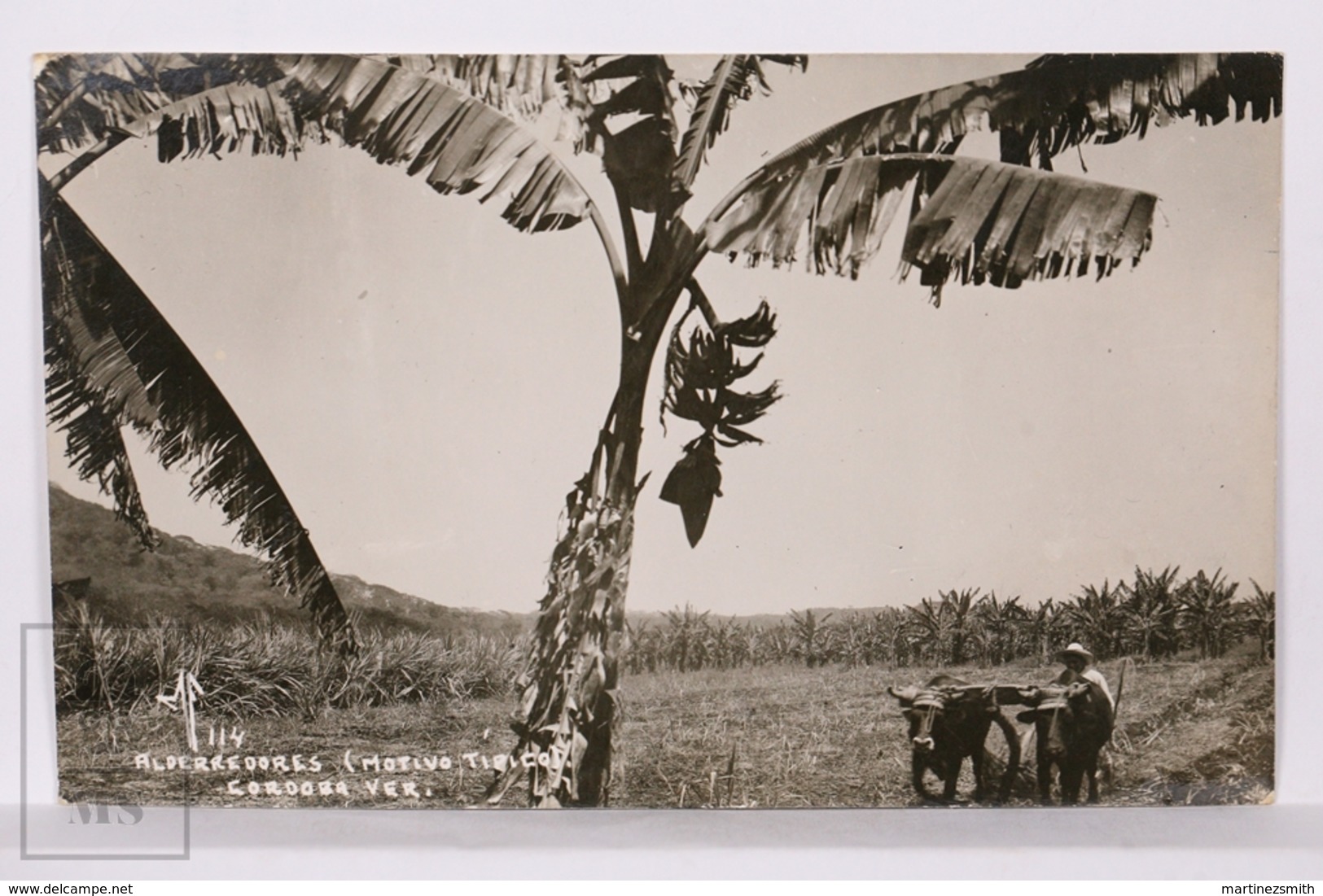 Original Photographic Postcard - Postal Mexico - Alrededores Cordoba - Farm Worker - México