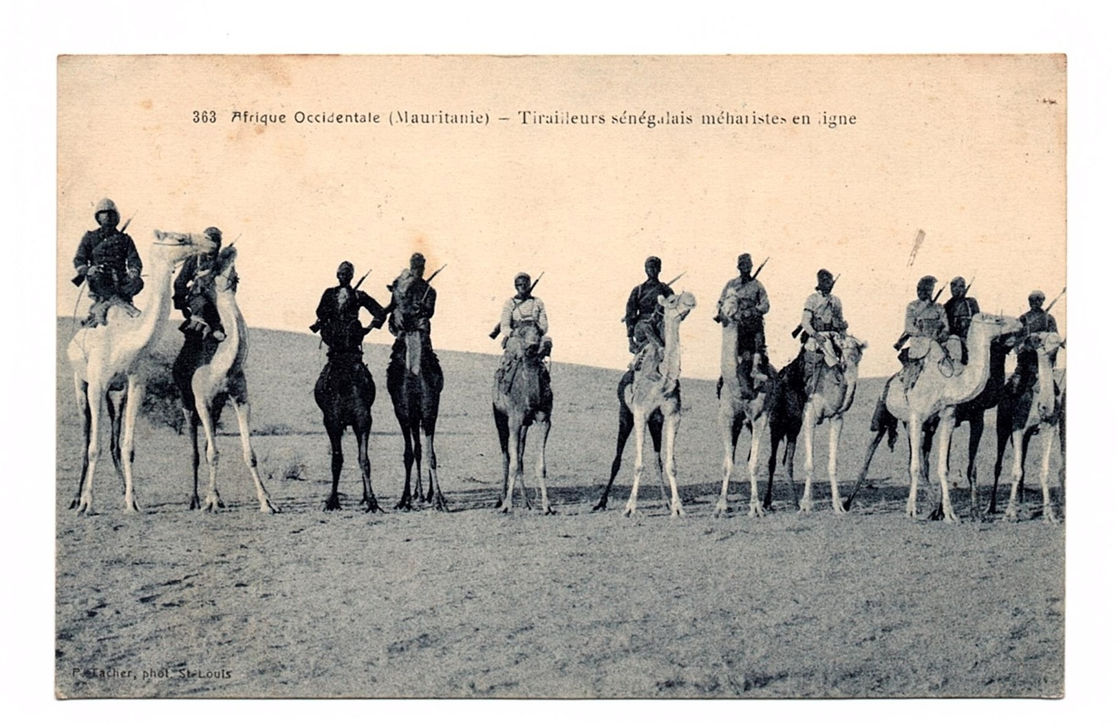 CARTE ANCIENNE COLONIALE MAURITANIE TIRAILLEURS SENEGALAIS - Guerres - Autres