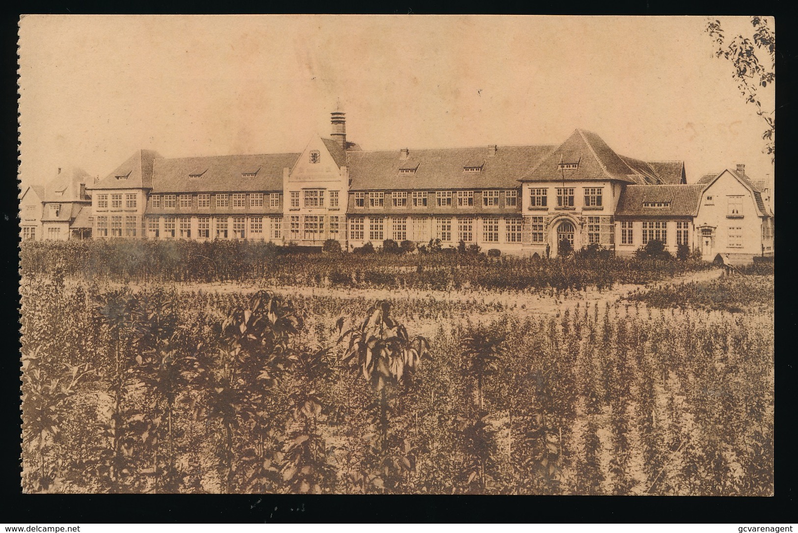 WETTEREN KWATRECHT   PROVINCIALE MIDDELBARE LANDBOUWBEROEPSSCHOOL   HOOFDGEVEL - Wetteren